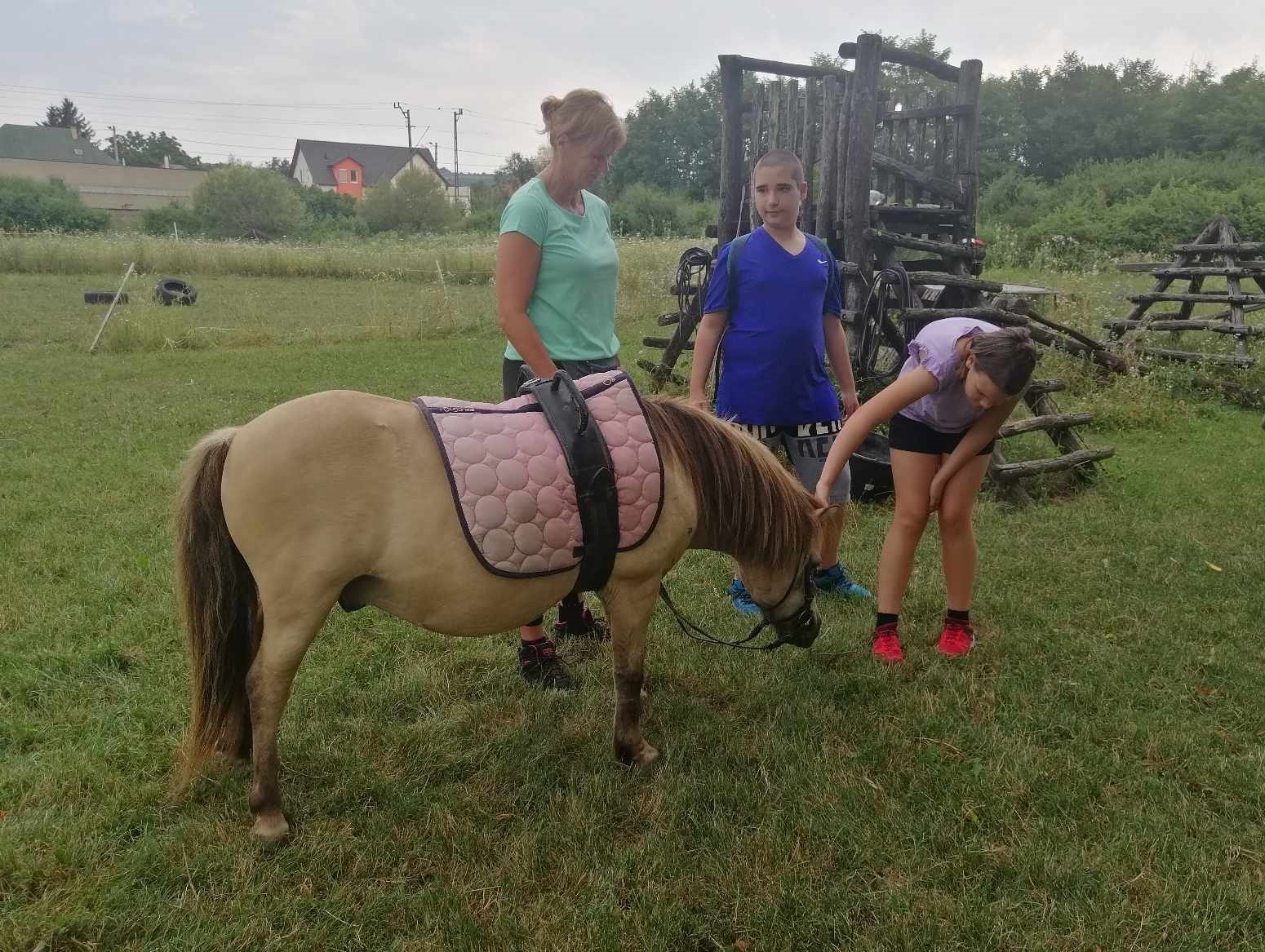 450689433_900787825424270_8930405401396422411_n