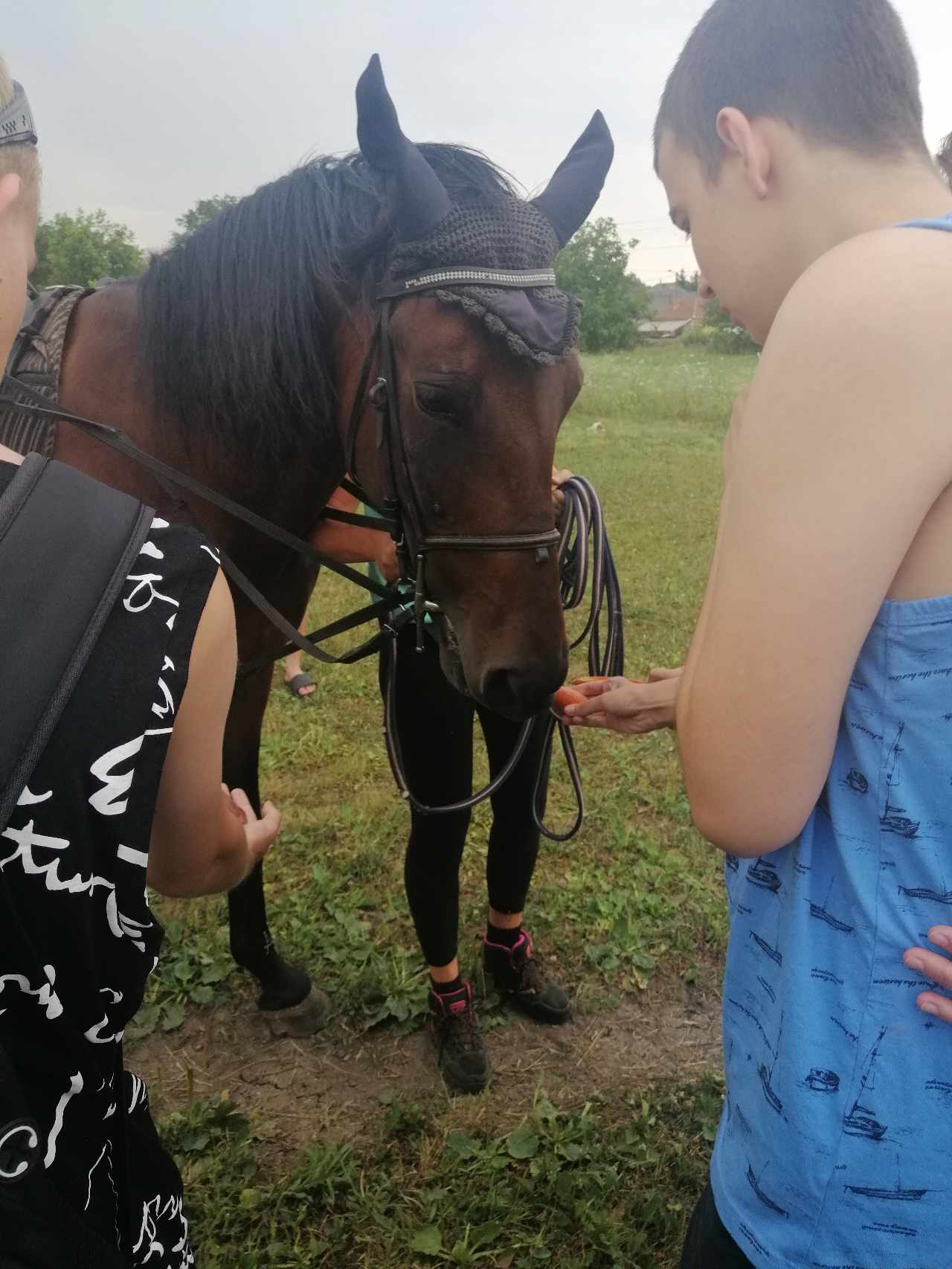 451210802_900788285424224_407686907477771975_n