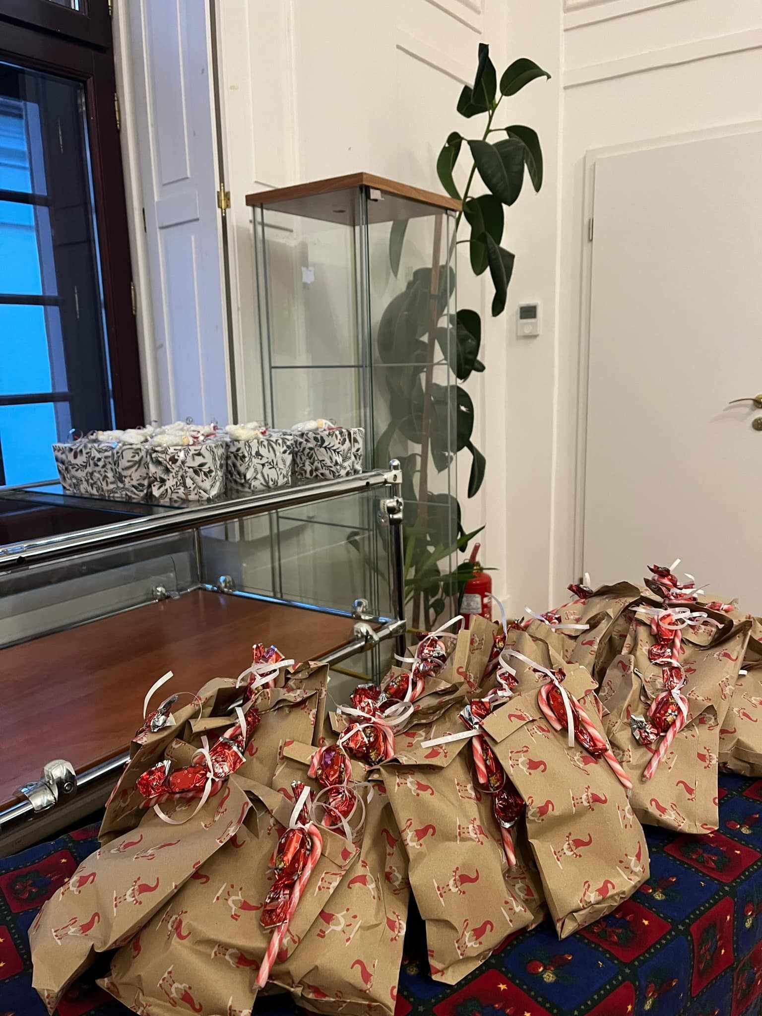 470229120_1012926320877086_254857875002434076_n