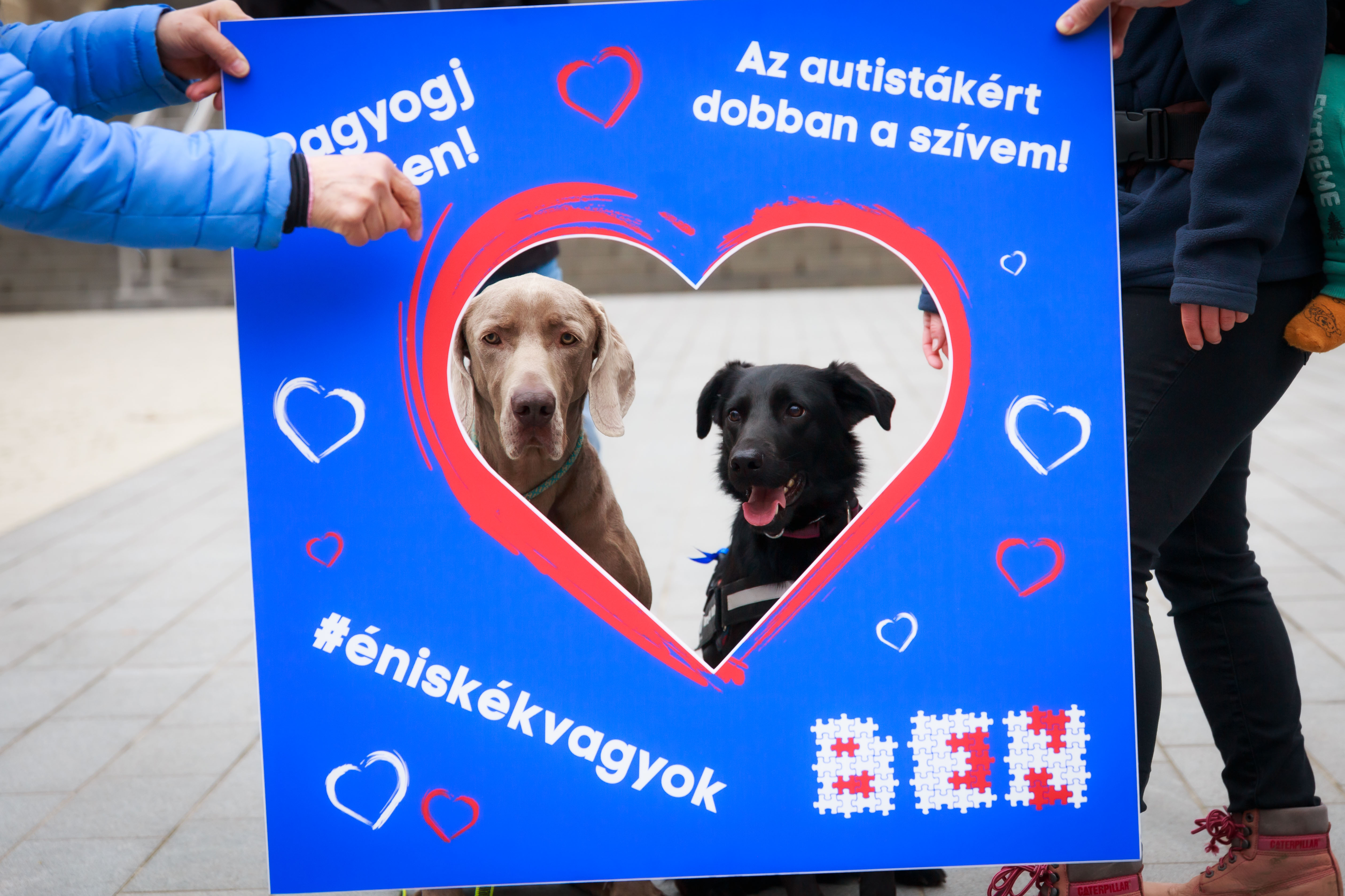 BEN_Kek_seta_20230402-12 (1)